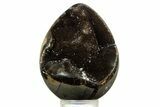 Septarian Dragon Egg Geode - Sparkly Black Crystals #344438-1